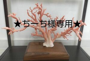 【ちーち様専用】珊瑚原木　ピンク珊瑚　サンゴ置物　オブジェ　インテリア　アクセサリー材料