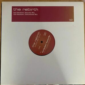 The Rebirth Evil Vibrations 12inch