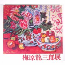 梅原龍三郎展 愛媛県立美術館 愛媛放送株式会社 1979 大型本 展覧会 図版 図録 目録 芸術 美術 絵画 画集 作品集 洋画_画像1