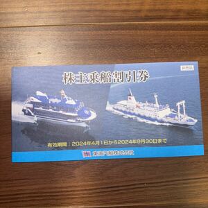 東海汽船 株主優待 10枚セット 2024/09/30まで ゆうパケット送料無料