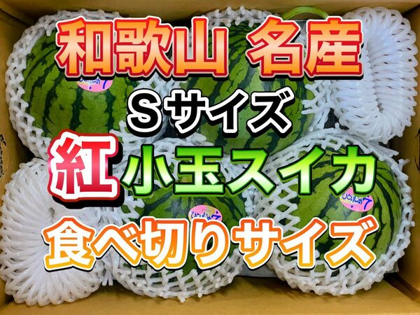 Sサイズ！和歌山県産 紅小玉スイカ 4玉入り みかんキング