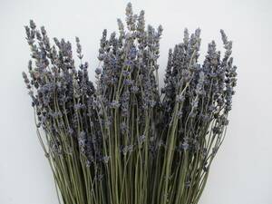  dry flower * lavender * 100ps.@×3 bundle total 300ps.@160