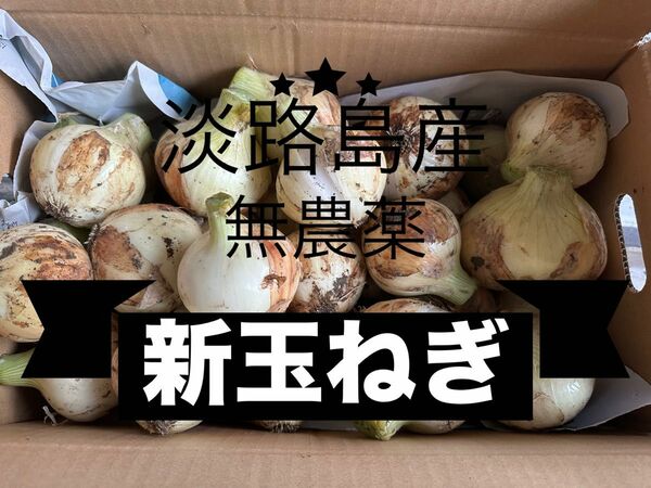 淡路島産　無農薬新玉ねぎ訳あり5キロ