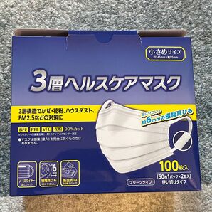 不織布マスク 100枚入り