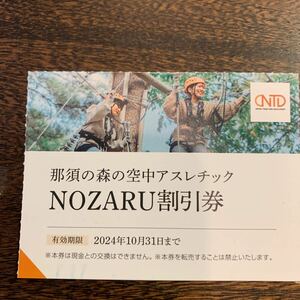 ２枚有　日本駐車場開発　株主優待 那須の森の空中アスレチック NOZARU割引券　１枚