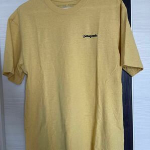 patagonia パタゴニア Tシャツ Sサイズ