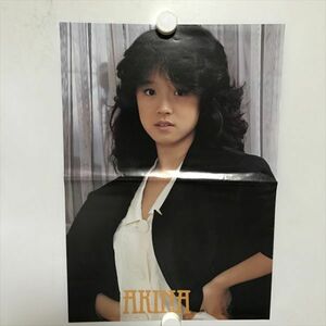 B20422 ◆中森明菜 B4サイズ ピンナップ ポスター ★5点以上同梱で送料無料★