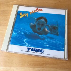 廃盤・希少　チューブ　セイ・ハロー　TUBE　夏歌　ポップス　Say Hello