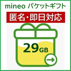 匿名・即日対応　パケットギフト　29GB（29000MB）　mineo　マイネオ　ギガ　20GB+9GB　25GB+4GB　15GB+14GB　10GB+19GB　大容量
