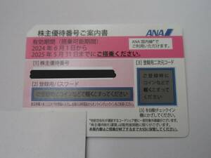 1円～ ANA株主優待券1枚 2025年5月31日搭乗まで有効