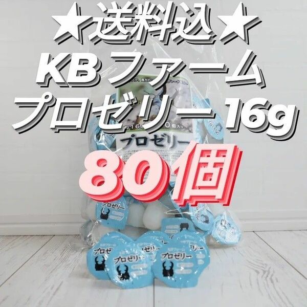 KBファーム製昆虫ゼリー　プロゼリー16g　80個