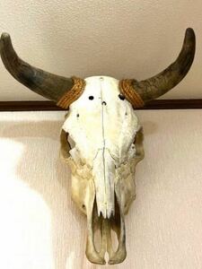 【牛頭骨】テキサスロングホーン　バッファロー　壁掛けオブジェ 鹿の角 頭蓋骨 アンティーク 壁掛けアクセサリー 牛骨 