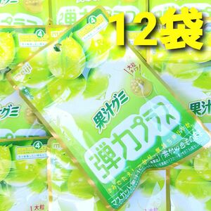 明治　果汁グミ　弾力プラス　果汁１００　マスカット　１２袋　大粒タイプ　マスカットグミ