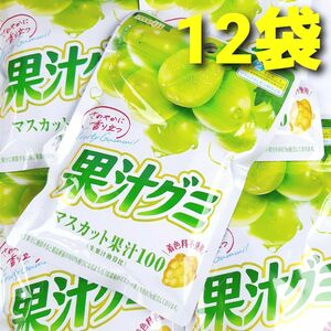 ★タイムセール！ 数量限定！★ 明治　果汁グミ　マスカット　１２袋　果汁１００　マスカットグミ　グミ　おやつに最適♪