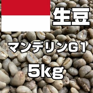 【コーヒー生豆】マンデリンG1　5kg　 ※送料無料！