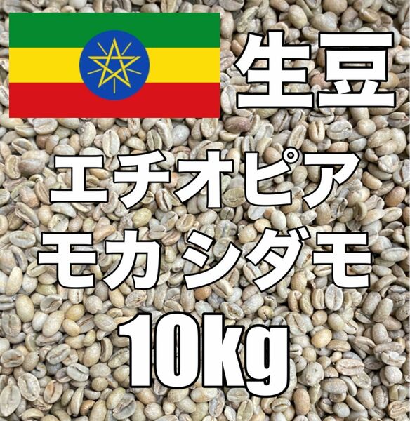 【コーヒー生豆】モカ シダモ エチオピア　10kg　 ※送料無料！