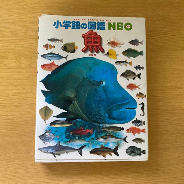 小学館の図鑑NEO 魚 小学館の図鑑