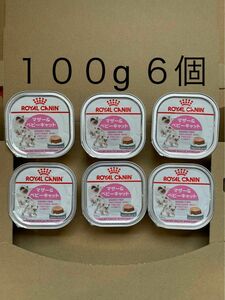 送料無料　100g×6個 マザー＆ベビーキャット 猫用 ロイヤルカナン キトン ベビー　ウルトラ ソフト ムース　6個セット