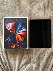 iPad Pro 12.9(第5世代) 512GB Wi-Fi+Cellularモデル SIMフリー　 スペースグレイ