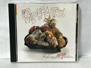 G268 ドイツ盤 / THE WILDHEARTS / FISHING FOR MORE LUCKIES (0630-12850-2) ザ・ワイルドハーツ GINGER ジンジャー