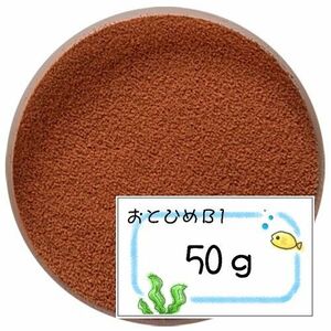 日清丸紅飼料おとひめB1(0.2～0.36mm)50g メダカのごはん/沈下性