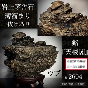 ※売切※《GW感謝祭》水石 盆栽 『天楼閣』岩上茅舎石 ウブ 横22×高20×奥行20(cm)6.6kg 骨董盆石古美術鑑賞石観賞石太湖石中国古玩 2604