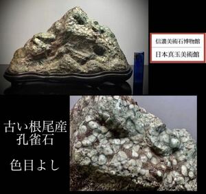 《GW感謝祭》水石 盆栽 古い 根尾産孔雀石 横33×高23×奥行20(cm)8.78kg骨董盆石古美術鑑賞石観賞石太湖石中国古玩 4331