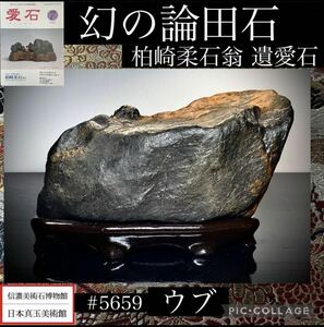 [ suiseki st Rene sun sfea] the lowest bid price suiseki st bonsai illusion. theory rice field stone ub.[ higashi ..] Kashiwa cape . stone .. love stone antique tray stone appreciation stone .. stone futoshi lake stone 5659