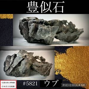 《GW感謝祭》水石 盆栽 豊似石 ウブ 横28×高17.5(cm) 4.12kg骨董盆石古美術鑑賞石観賞石太湖石中国古玩 5821