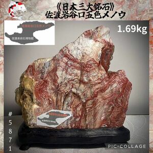 【信濃美術石博物館】 水石 佐渡岩谷口五色メノウ 石本体:横16.5×高14.5(cm) 1.69kg 佐渡赤玉石 佐渡錦紅石 赤玉赤石盆栽鑑賞石観賞石5871