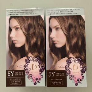 ベネフィーク　ヘアカラー　5Y 2個