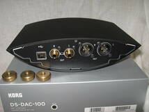 KORG DS-DAC-100_画像2