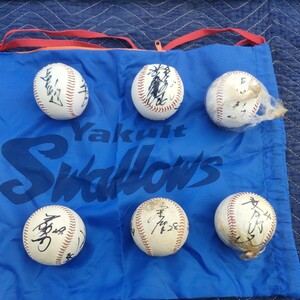  autograph ball Yakult swallow z player unknown collection of autographs baseball ball 
