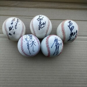  Yakult swallow z autograph ball together 5 piece .book@. leaf old rice field . mountain genuine middle . number 6 41 27 36 31 price cut 