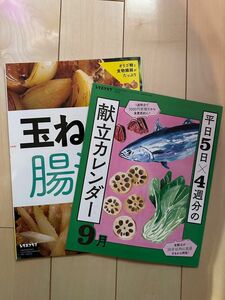 レタスクラブ　R5年9月号付録　献立カレンダー&玉ねぎで腸活おかず65レシピ