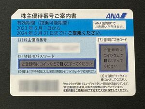 1円～ 全日空 ANA株主優待券 2024年5月31日まで 1～3枚　【番号通知】