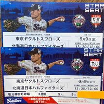 日本ハムベンチ裏最前列通路側！ヤクルトvs北海道日本ハム6/9（日）スターシート3塁側2枚連番席 定価以下スタート　神宮球場13:30〜_画像1