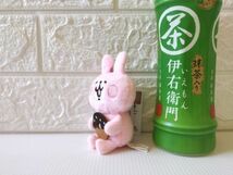 【送料無料】台湾★即決♪ 正規品!! カナヘイの小動物 ピスケ＆うさぎ ドーナツのマスコット・人形 2体セット♪_画像5