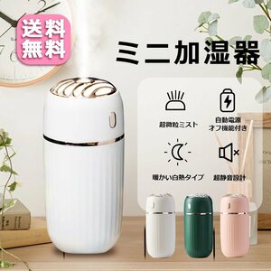  green desk humidifier USB small size Mini humidification machine ultrasound high capacity Mist box PET bottle USB humidifier desk office length hour cordless mobile 