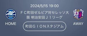 2024/5/15 19:00 ＦＣ町田ゼルビア対セレッソ大阪 町田ＧＩＯＮスタジアム カテゴリー４ バックパレス１階 西Ｒ１名様