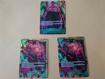 ワンピースカード　双璧の覇者　ゾロ　シークレットパラレル　シークレット　_画像1