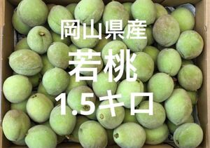 岡山県産　白桃　若桃　加工用　ゆうパケットプラス箱　１.5キロ　摘果桃　1粒4cm 産地直送