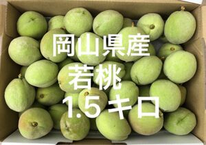 岡山県産　白桃　若桃　加工用　ゆうパケットプラス箱　１.5キロ　摘果桃　5/30収穫　産地直送