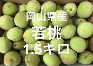 岡山県産　白桃　若桃　加工用　ゆうパケットプラス箱　１.5キロ　摘果桃　5/31収穫　産地直送