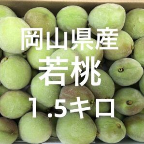 岡山県産　白桃　若桃　加工用　ゆうパケットプラス箱　１.5キロ　摘果桃　1粒4cm 次回産地直送