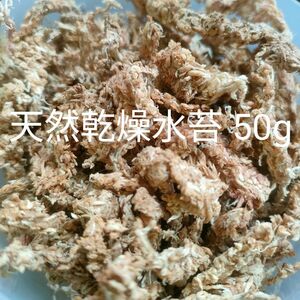 天然乾燥水苔 50g以上 ミズゴケ AA