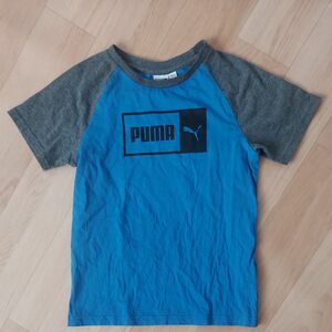 コストコ PUMA キッズTシャツ US7/8サイズ 