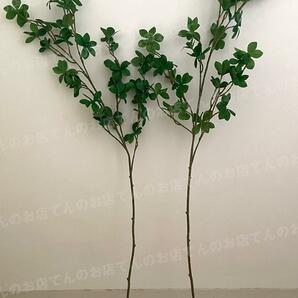 ドウダンツツジ フェイクグリーン 2本 高さ 110cm 造花 人工 観葉植物 観葉樹 インテリア お部屋 おしゃれ 空間 葉っぱ 飾り 店舗 イベントの画像7