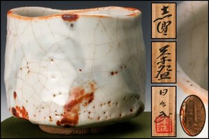 [SAG] cheap wistaria day . Takeshi . tea cup also box genuine article guarantee 