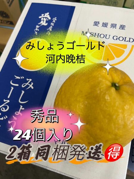 果物　みかん　柑橘　みしょうゴールド　秀品　シーズン　贈答　家庭用　初売　大容量